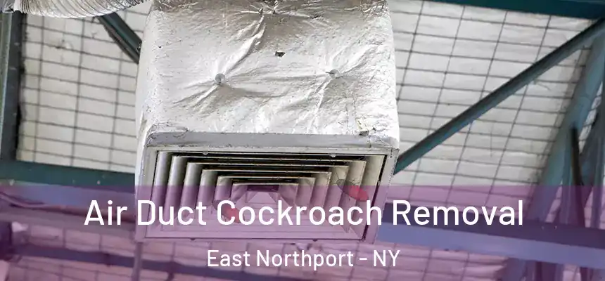  Air Duct Cockroach Removal East Northport - NY