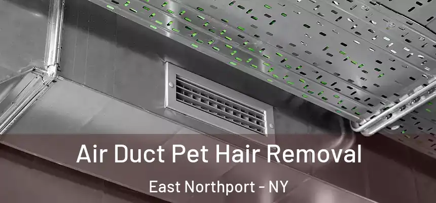  Air Duct Pet Hair Removal East Northport - NY