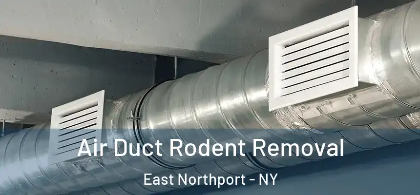  Air Duct Rodent Removal East Northport - NY