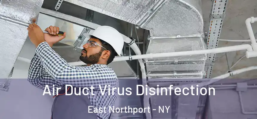 Air Duct Virus Disinfection East Northport - NY