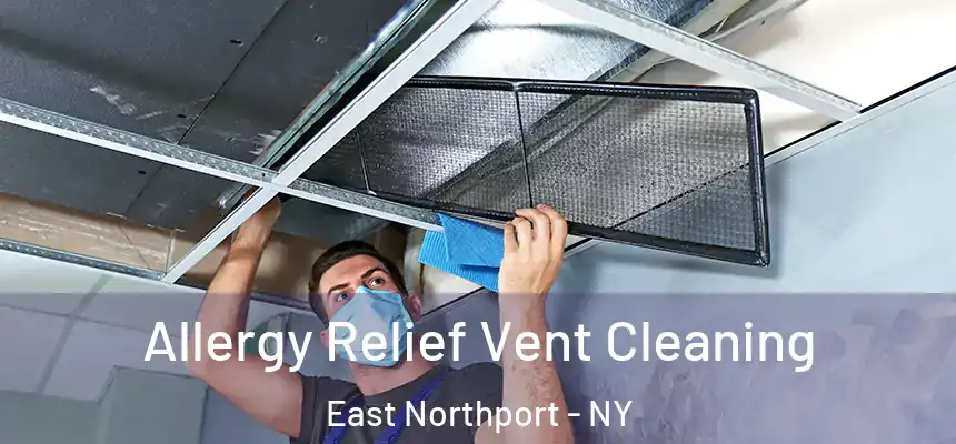  Allergy Relief Vent Cleaning East Northport - NY