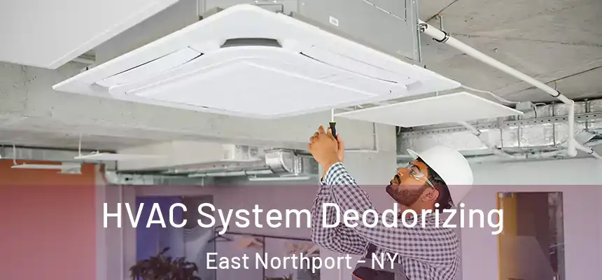  HVAC System Deodorizing East Northport - NY