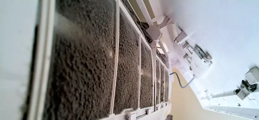 Preventive Air Duct Bacteria Removal in East Northport