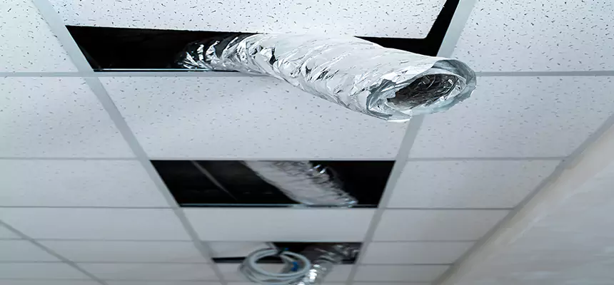 Our Air Duct Pet Hair Removal Services in East Northport, NY