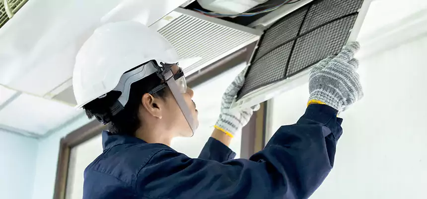 Our Mold & Mildew Removal from Air Ducts Services in East Northport, NY