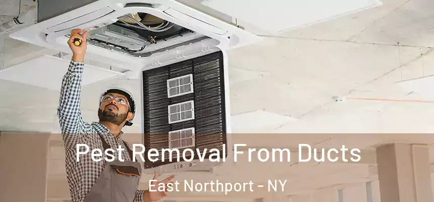  Pest Removal From Ducts East Northport - NY