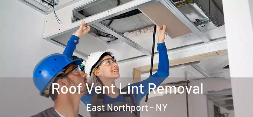  Roof Vent Lint Removal East Northport - NY