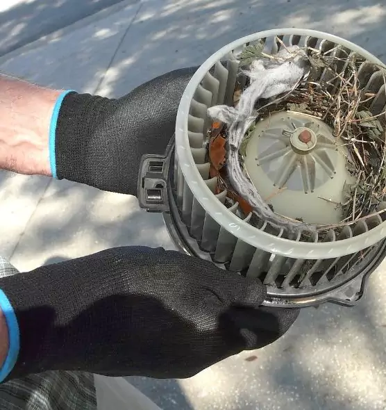 About Air Duct Mice Removal in East Northport, NY