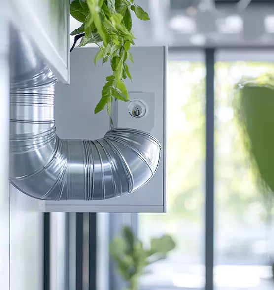 Professional Eco-Safe Dryer Vent Cleaning in East Northport, NY