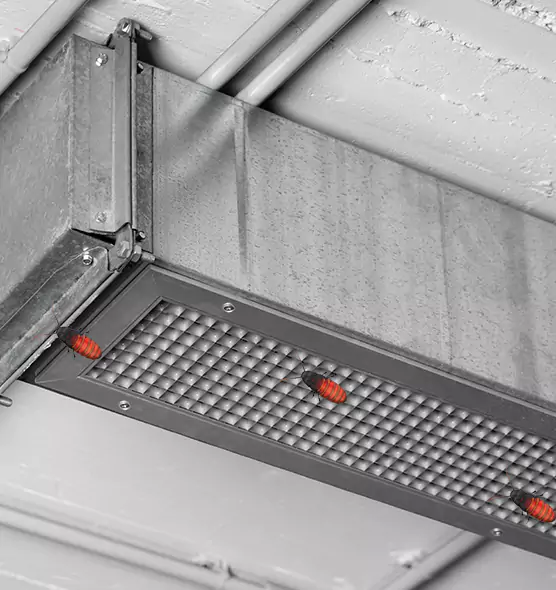 Affordable Insect Removal from Air Ducts in East Northport, NY