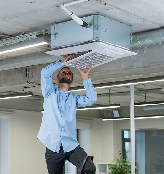 Advanced Rodent Droppings In Vents in East Northport, NY