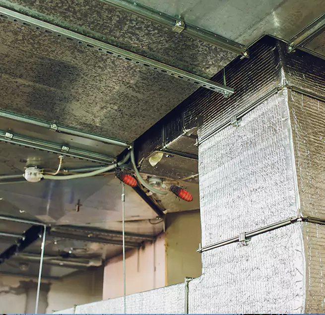 Why Homeowners & Businesses Trust Us in East Northport, NY?