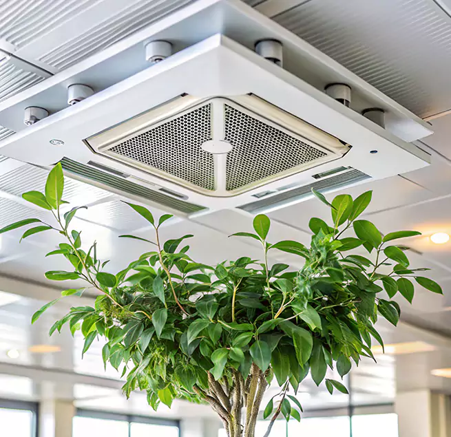 Why Homeowners & Businesses Trust Us in East Northport, NY